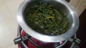 Vegetables differ from the fruits according to their taste and. Cooking African Traditional Vegetables Sagaa Traditionally For The First Time Youtube