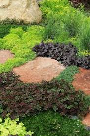 10 Easy To Grow Medicinal Herbs For Herbal Remedies Garden Design Outdoor Gardens Plants