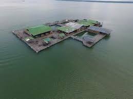 Rumah rakit ini terletak di muara sg.johor berdekatan di pulau lihat dan rasai sendiri teknologi terkini enjin laut yang terpantas asean.tiram fishing & resort merupakan pemilik pertama dalam asean memiliki enjin laut kunjungan team epa management ulu tiram pada 28hb.april 2007. Kiriman Dari Customer Pemandangan Kampung Salam Rakit Facebook