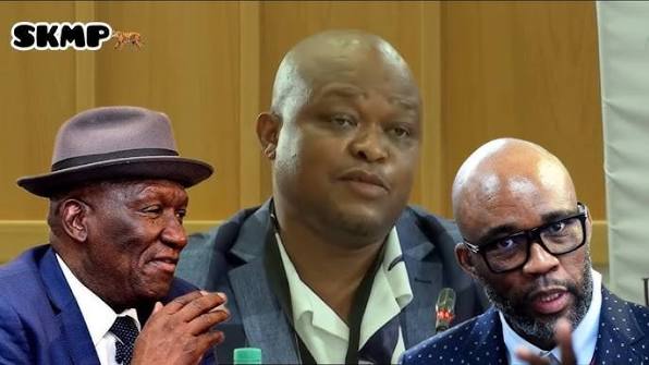 "Bheki Cele had interests in a tender that was awarded to Cat Matlala" - Brown Mogotsi