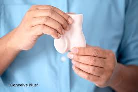 Image result for Scrotum