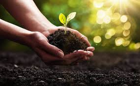 Understanding the Secrets of Soil: Why It's So Important for the Health of Your  Plants - Glamour Garden