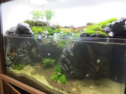 90g Cliffside Paludarium Build Thread Ponds Backyard Nature Aquarium Water Plants