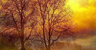 صور افضل خلفيات ايفون في العالم iphone wallpapers ورمزيات ايفون 8 بلس الاصلية في احلي واجمل android wallpaper hd nature nature wallpaper hd nature wallpapers