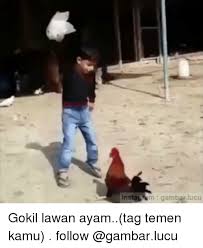 Maybe you would like to learn more about one of these? Instacnam Gambar Lucu Gokil Lawan Ayamtag Temen Kamu Follow Tagged Meme On Me Me