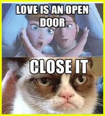 Pin On Grumpy Cat