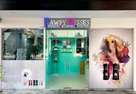 Yorkshire terrier in the process of changing style. Pawpy Kisses Pet Grooming With Transport In Singapore