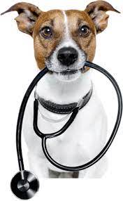 We are not operated or funded by any national animal group and must rely. Veterinary Clinic Webster Tx Nasa Pet Hospital Vet Clear Lake