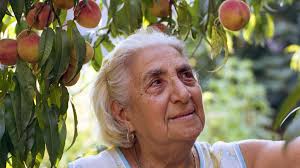 Little Italy in Photos, Understanding Joy, and Musician Sean Beier