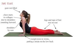 Do This Not That Upward Facing Dog Urdhva Mukha Svanasana Upward Facing Dog Yoga Journal 200 Hour Yoga Teacher Training