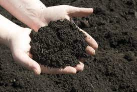 We did not find results for: Testing Topsoil Topsoil Pros