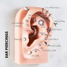 Constellationpiercedearrings Der Du Es Ist Ohrlocher Piercedearringsjewelry Der Du Es Ist Ohr Ear Piercings Chart Piercing Chart Cool Ear Piercings