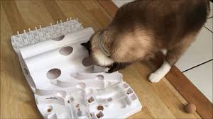 We selected the best automatic wet food feeders that also are suitable to feed dry cat food. Wet Food Puzzles Food Puzzles For Cats