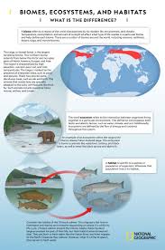 Have Students Use The Information Presented In The Infographic To Describe The Biome Ecosystem And Habitat Of An Organism Of Their In 2020 Biomes Ecosystems Habitats