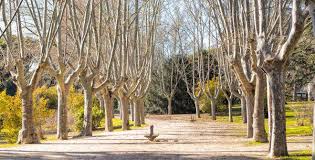 Oeste v sao bernardo sp. Oeste Park Official Tourism Website