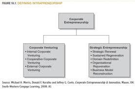 Intrapreneurship Flashcards Quizlet