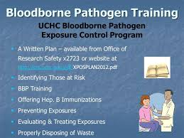 We did not find results for: University Of Connecticut Health Center Bloodborne Pathogen Training Ppt Download