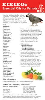 Essential Oils List For Parrots Parrot Parrot Toys Are Essential Oils Safe