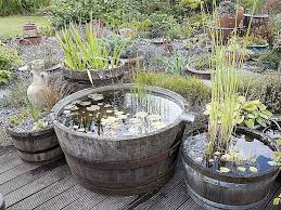 Le coût initial d'achat d'une. Installer Un Mini Bassin Pas A Pas Et Choix De Plantes