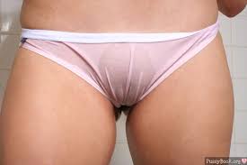 Between the combination of the anatomy and absolutely wonderful conditions, the shape is supposed to look like. Asian Girls Cameltoe In Wet White Panty
