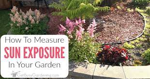 Why don't you come a little closer baby and get next to the sound. How To Determine Sun Exposure In Your Garden Get Busy Gardening