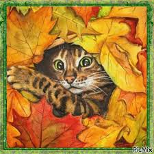 CHAT D'AUTOMNE - GIF animé gratuit - PicMix