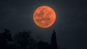 A concise summary of all solar eclipses from 2021 through 2030 is presented here in three ways. Lunar Eclipse 2021 Super Blood Moon To Be Witnessed Globally Tonight