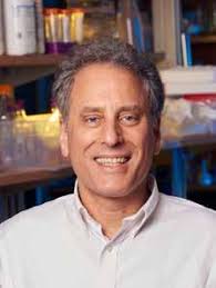 2024 UF Department of Chemical Engineering Magazine by UF Herbert Wertheim  College of Engineering