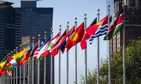 All economic, social and development information and telecommunication technology internal security and safety legal logistics, transportation and supply chain management and administration political, peace and humanitarian public information and conference management science. The Organizational Structure Of The United Nations