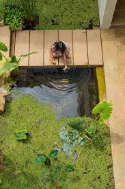 Maybe you would like to learn more about one of these? 13 Ide Kolam Ikan Sederhana Yang Indah Untuk Rumah Mungil Anda Mybigproperty Com