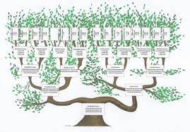 Le site internet sur lequel vous publiez votre arbre généalogique. Genealogie Alsace Lorraine Vosges Crhf Centre De Recherches Sur L Histoire Des Familles Haut Rhin Guebwiller Le Crhf Arbres Genealogiques Grand Format
