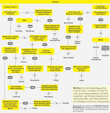 Als suchsel werden aufgaben mit scheinbar ungeordneten buchstabenquadraten bezeichnet. Finden Sie Das Richtige Homoopathische Mittel Fur Ihr Kind Elternwissen Com