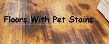 Our team of experts has listed top ten picks through a deep analysis. How To Remove Pet Urine From Hardwood Floors Hardwood Floor
