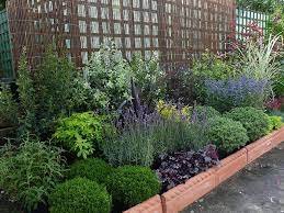 If the soil is too rich or moist, stems become weak and plants tend to flop. Garden Borders Hledat Googlem Low Maintenance Garden Plants Low Maintenance Landscaping Front Yard Low Maintenance Garden