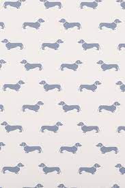 Blue Dachshund Wallpaper Emily Bond Dachshund Wallpaper Weiner Dog Blue Dachshund
