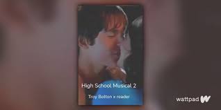 High School Musical 2: Troy Bolton x reader