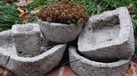 Hypertufa Workshop