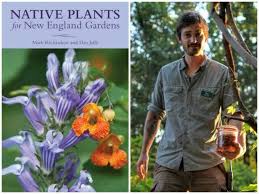 It is found in 29 states in the eastern united states as well as parts of within the bay state, mayflowers are found in every county. Defining Native And Choosing The Right Native Plants With Dan Jaffe A Way To Garden