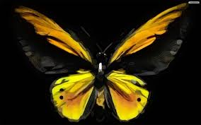 Custom made unique wallpaper designed to suit you with quick, flexible shipping Cute Yellow Butterfly Wallpaper