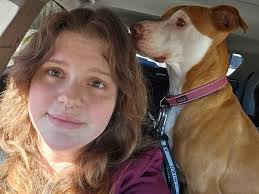 Lost Dog in Columbia, SC