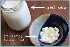how to make kefir with probiotic benefits