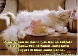 Ask Com Immagini Divertenti Di Animali Compleanno Gatti Animali Divertenti