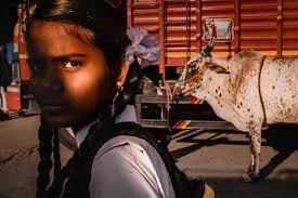 Winners Gallery Archives