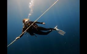 Image result for Scuba Blue 2014 AQ