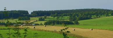 Erledigen sie ihre bankgeschäfte auch unterwegs schnell und sicher. Leitbild Vr Bank Nordeifel Eg