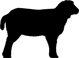 Download Sheep Lamb Mutton Free Vector Graphic On Pixabay PSD Mockup Templates