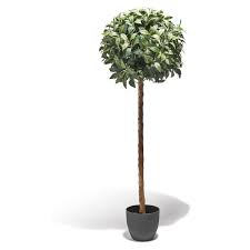 Laurier Artificiel 120 Cm Vase Et Plante Artificielle Objet Decoratif Decoration Gifi