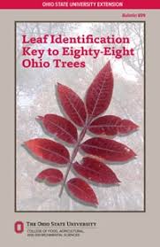 Leaf Identification Key To Eighty Eight Ohio Trees