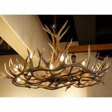 Elk And Mule Deer Antler Chandeliers 18 Lights Custom