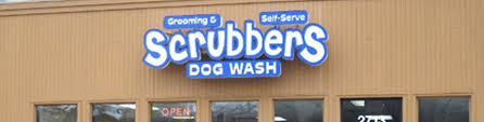 All groomers (dog groomer, mobile grooming, pet grooming salon) all have the same appointment struggles: Metro Detroit Pet Groomers Best Michigan Dog Cat Grooming Professionals
